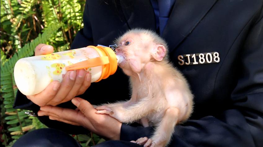 有一种叫云南的生活,有一种生活叫云南的生活