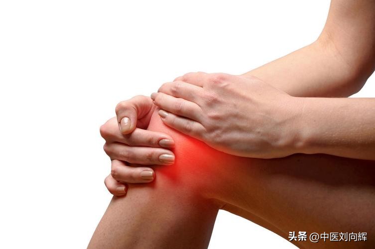 滋补补肾健脾的中药,健脾祛湿和滋阴补肾的中药