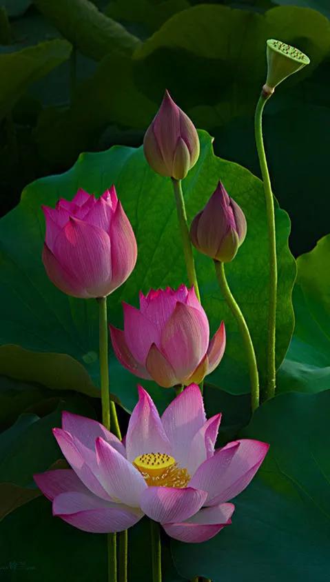 春树的人生格言书籍,人生书籍里的经典语录大全