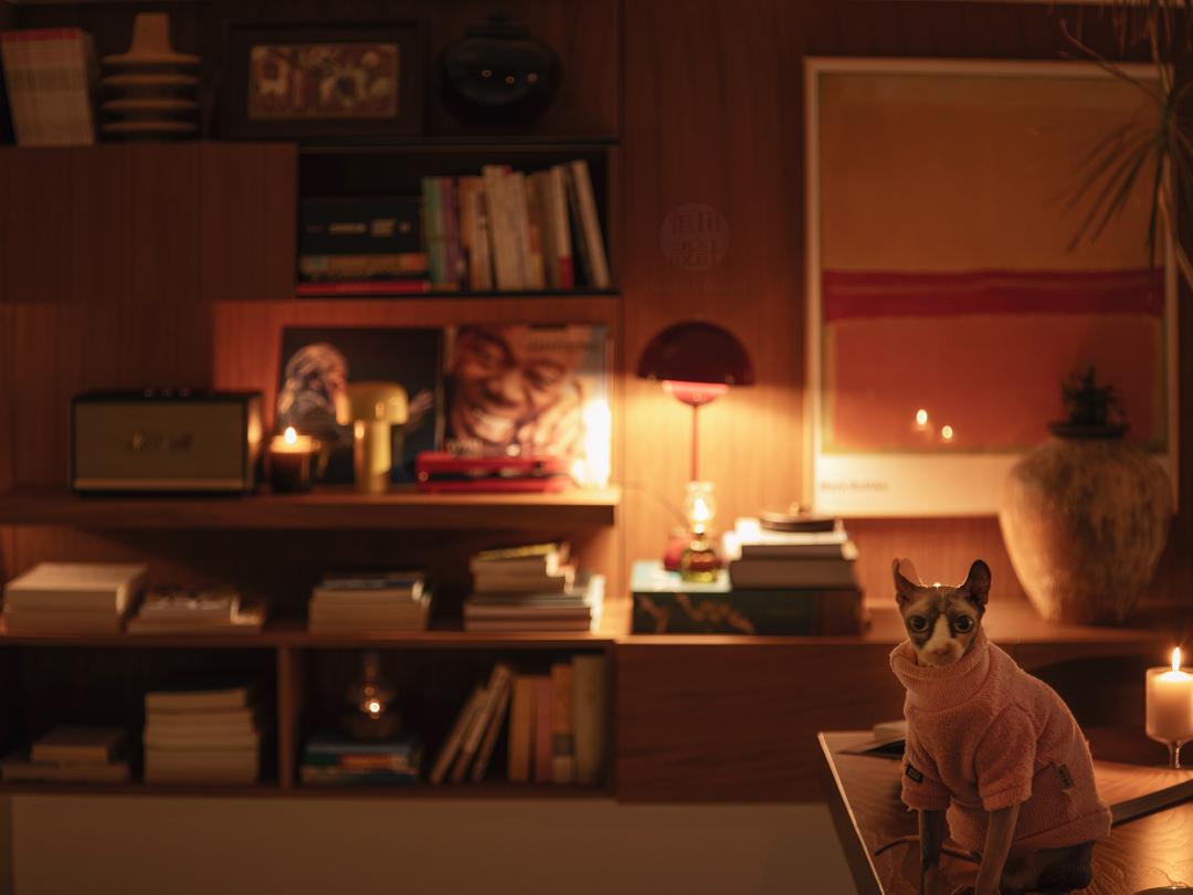 把家装进盒子里怎么做,把家装进生活