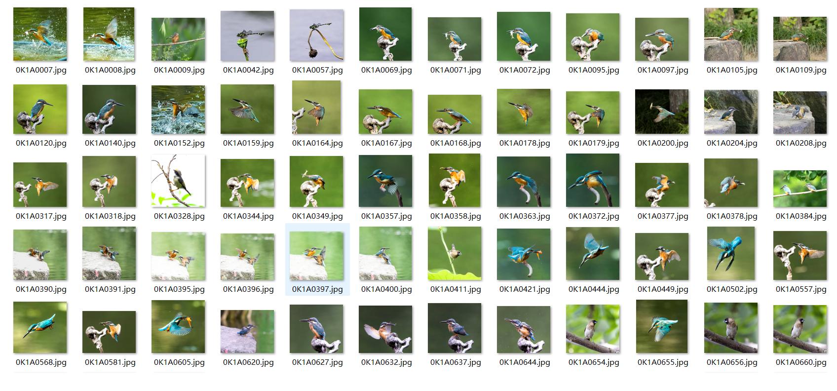 如何恢复数码单反相机存储卡,相机存储卡怎么备份