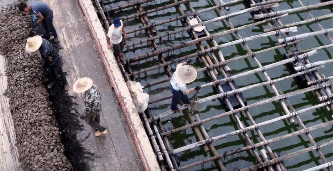 航拍中国广西第四季解说词,航拍中国第四季广西在哪看