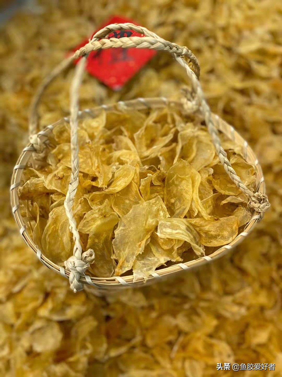 收藏版：全网最全的鱼胶品种，鱼胶品种这么多，你都认识吗？