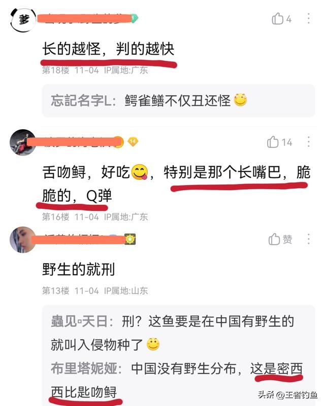 外来物种入侵鸭嘴,鸭嘴兽物种入侵