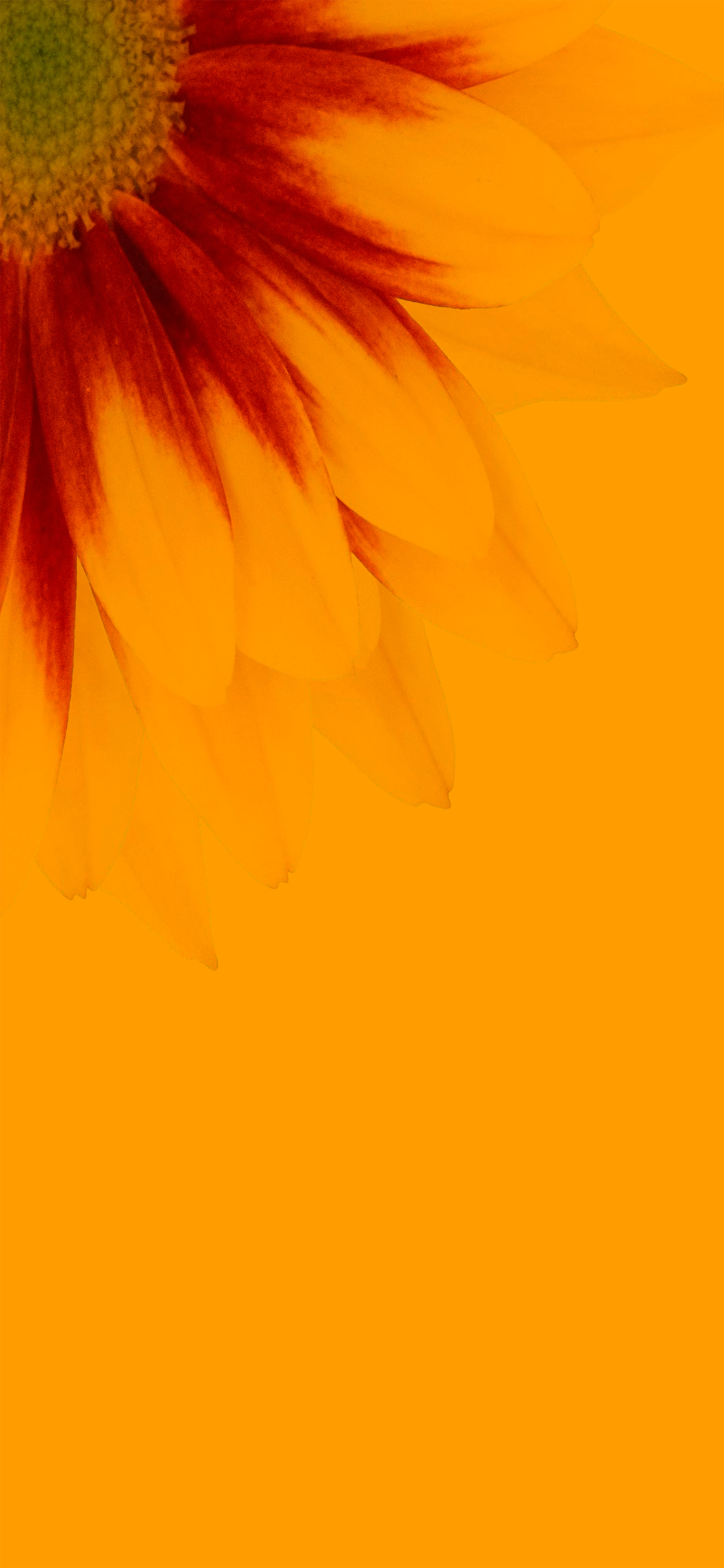 iphone13promax原装壁纸,iphone13promax静态壁纸