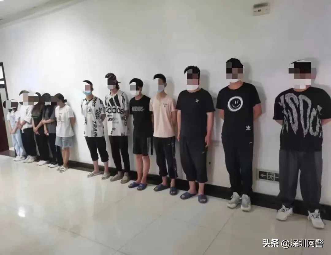 净网2019诈骗套路,净网2019诈骗图解