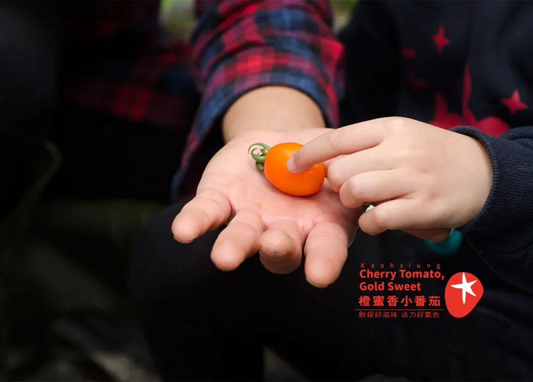 区域品牌农产品包装设计,农产品包装设计创意点