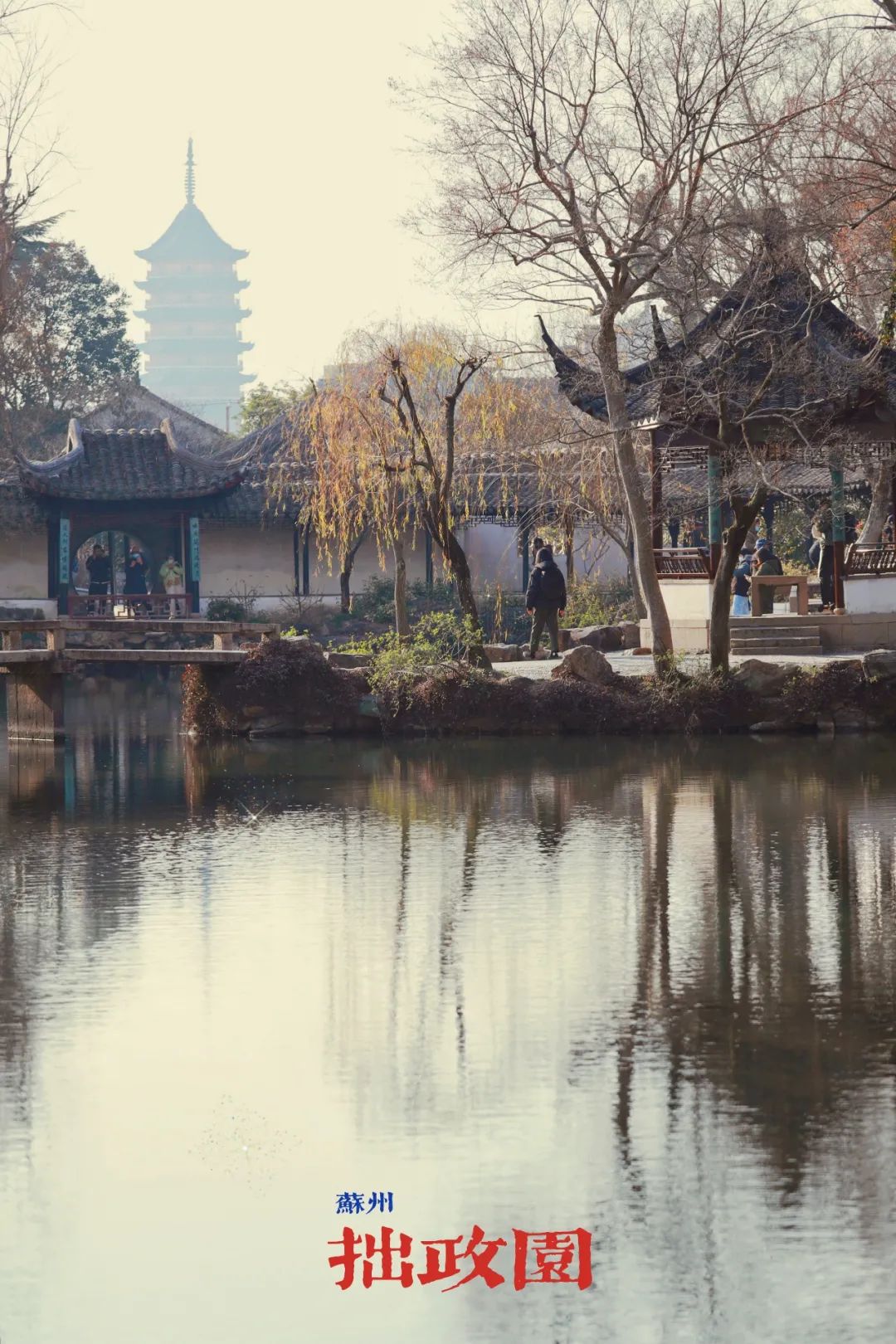 苏州古镇两天一夜旅游攻略,去苏州怎么玩一日游