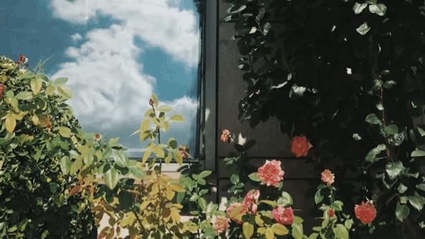 超高频英语1000句,超高频英语单词精讲