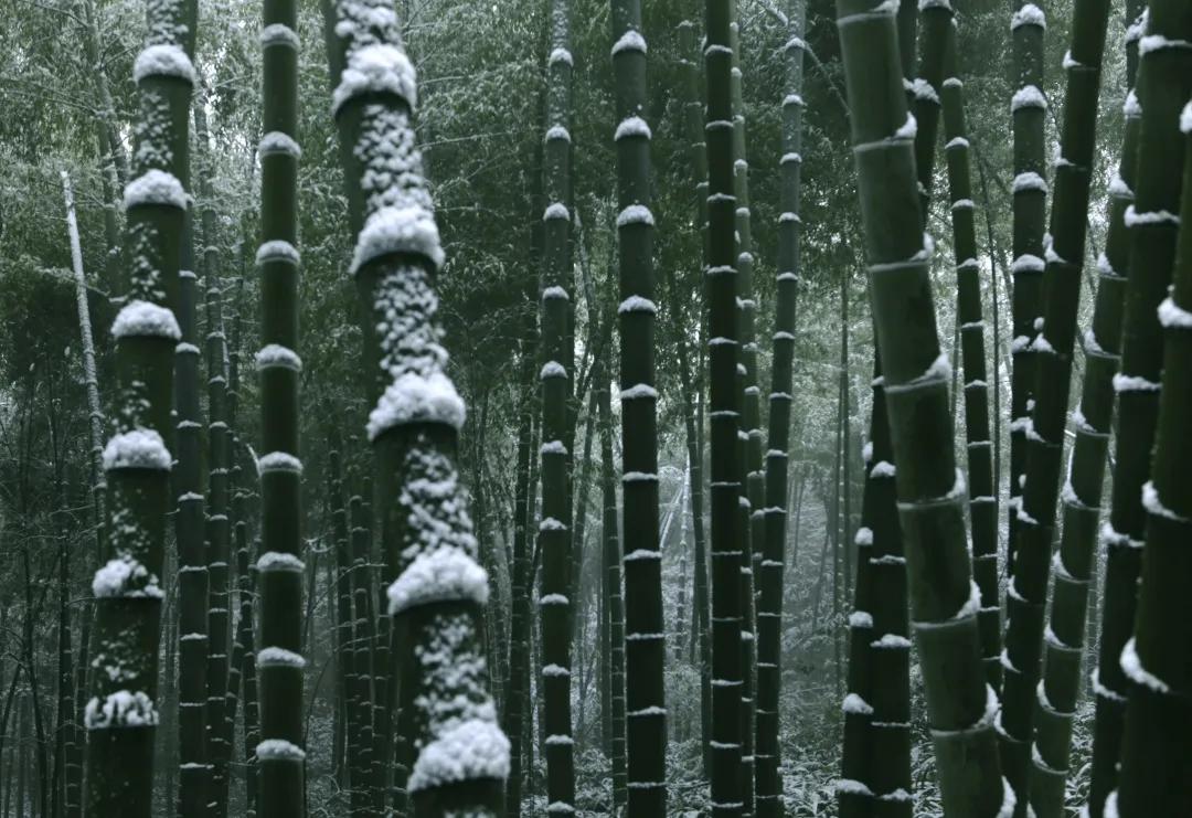 宜宾夏季度假旅游攻略大全,宜宾旅游攻略冬季