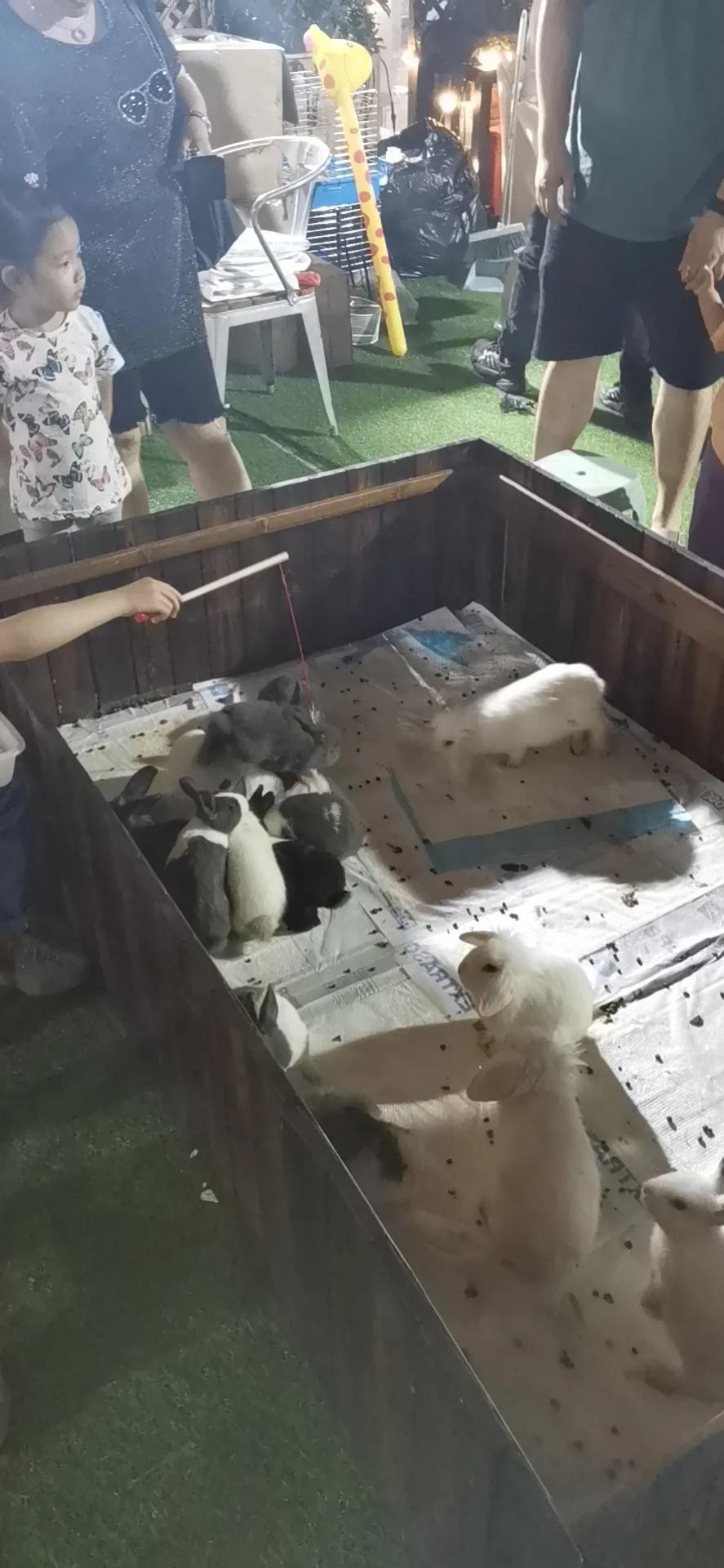 天津银河广场营业时间,天津银河广场海底世界