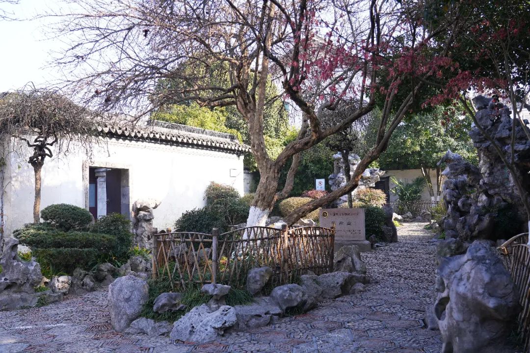 年味浓的古镇旅游推荐,6月份值得去的冷门水乡古镇