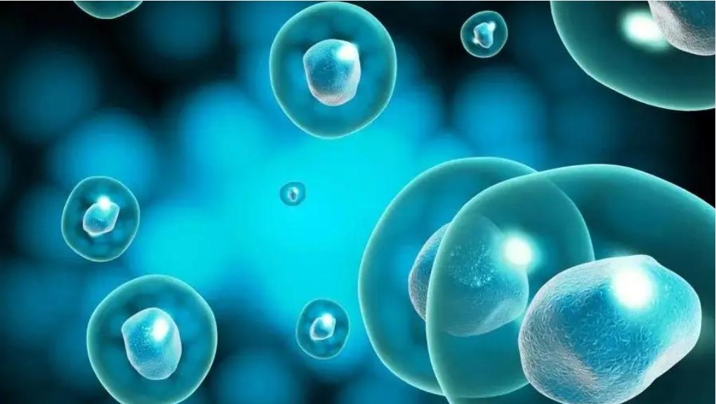 吃了一粒布洛芬多久不痛经,吃下布洛芬后身体发生了什么