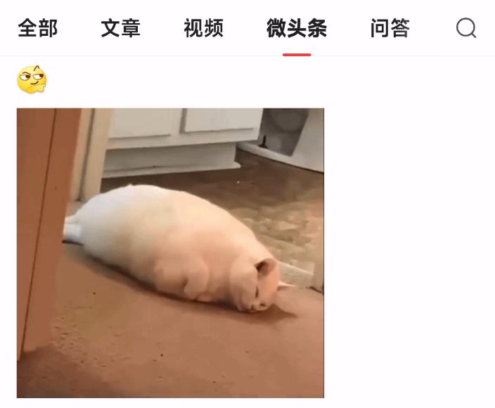 抖音又出了一款新的app,抖音新出的app叫什么