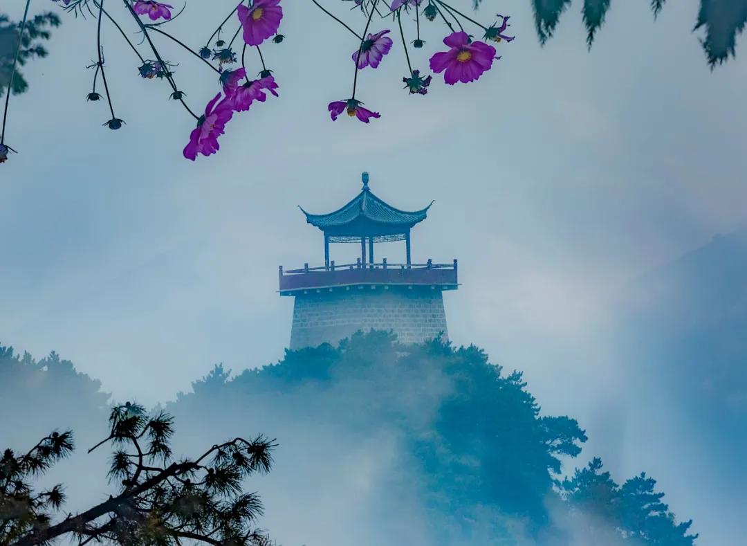 俺莱芜有美景|四季予你诗画香山