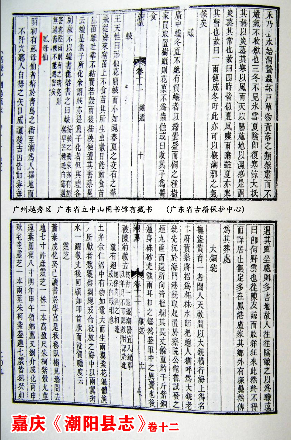 陈友谅和虱母仙,何野云和虱母仙