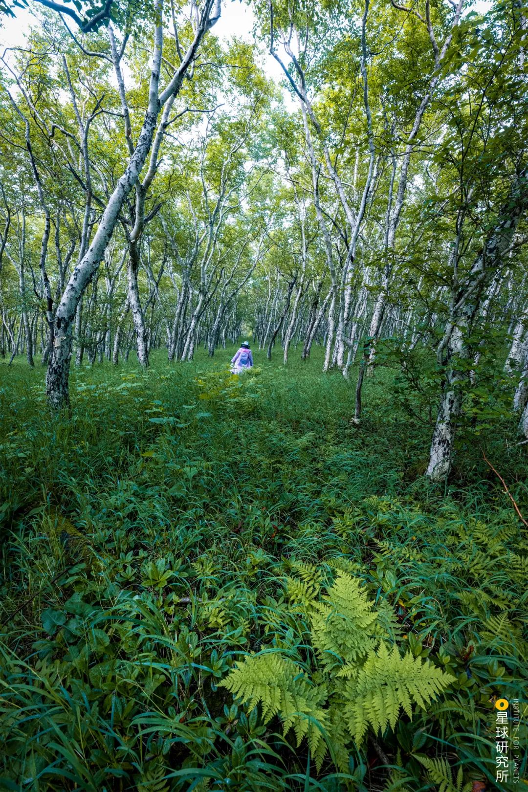 圣山龙脉,龙脉圣地黄帝陵