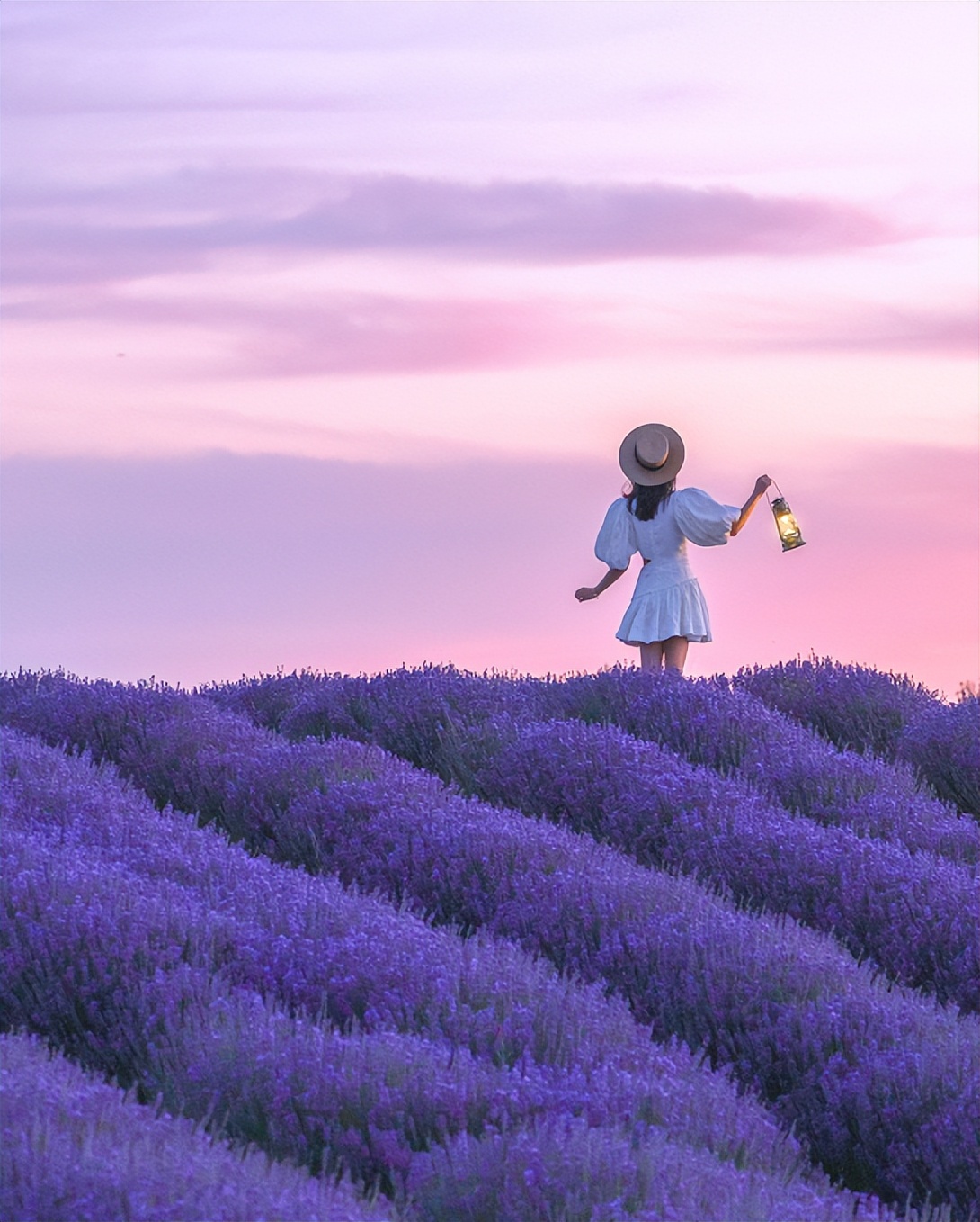 那拉提空中草原雪景照片,大草原的壮丽雪景图