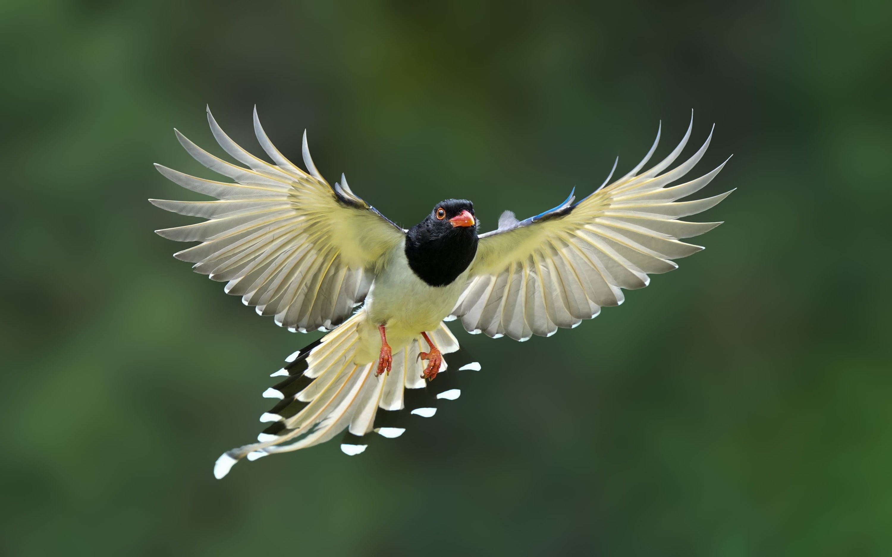 王者归来1-100级,索尼alpha1教程