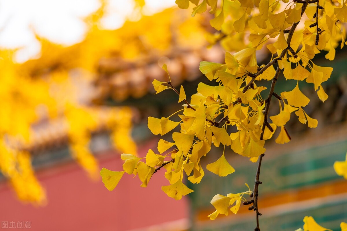 清太宗皇太极第十三代嫡孙,清太宗爱新觉罗