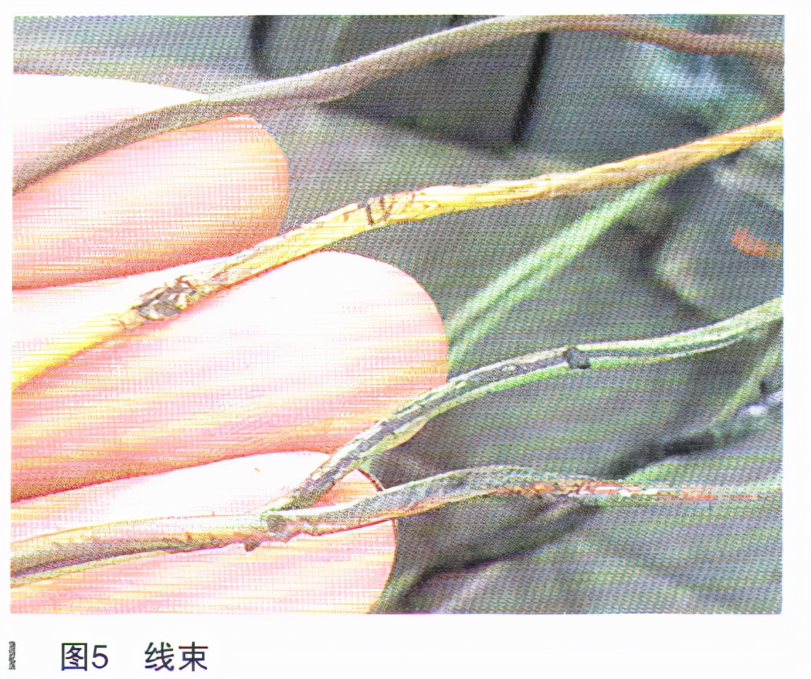 林肯mkt启动一下就停了,林肯mkx行驶中熄火无法启动