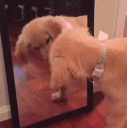 你觉得结婚和不结婚什么区别呢,你们觉得结婚和没结婚有什么区别