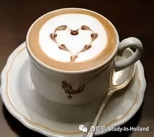 留学费用5w人民币生活费一年两万,留学荷兰一年费用高中