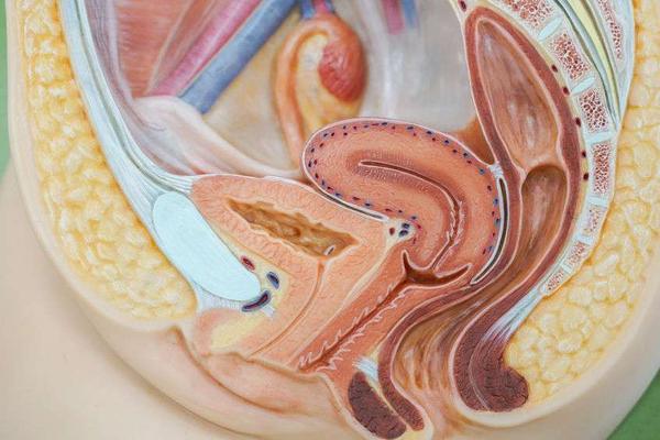 妇科病引起的腰酸疼是什么症状,腰骶酸痛浑身疲惫是什么妇科病