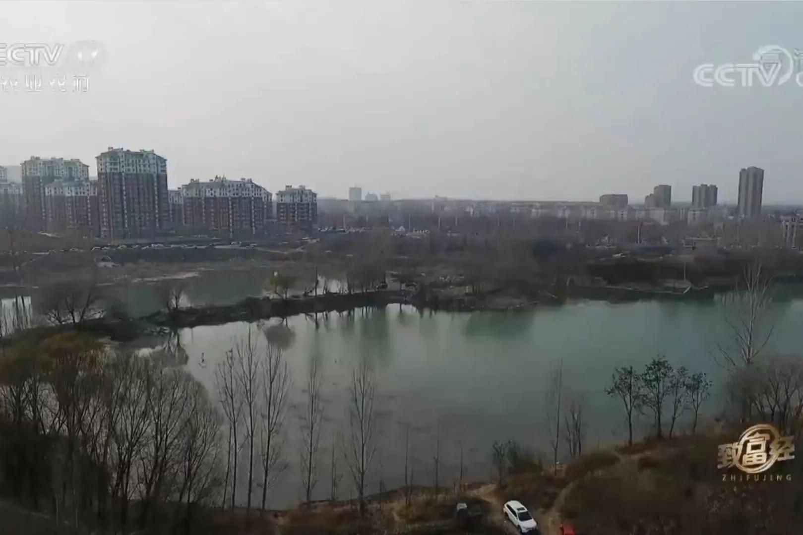 承包荒山致富的例子,美女承包52亩山地