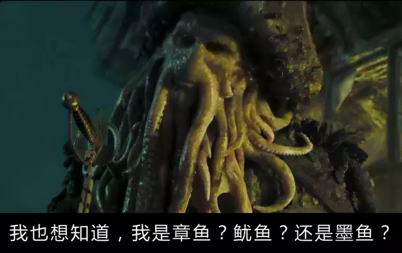 八爪鱼章鱼鱿鱼墨鱼乌贼的科普,如何区分鱿鱼章鱼八爪鱼