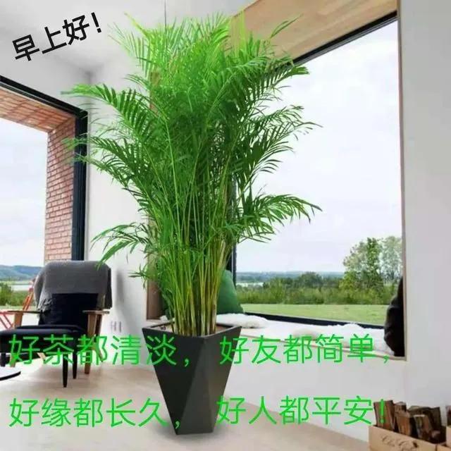 人生哲理意境文字,真字人生哲理