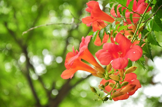 苟日新，日日新，又日新,24。做一个坚持不懈的践行者。