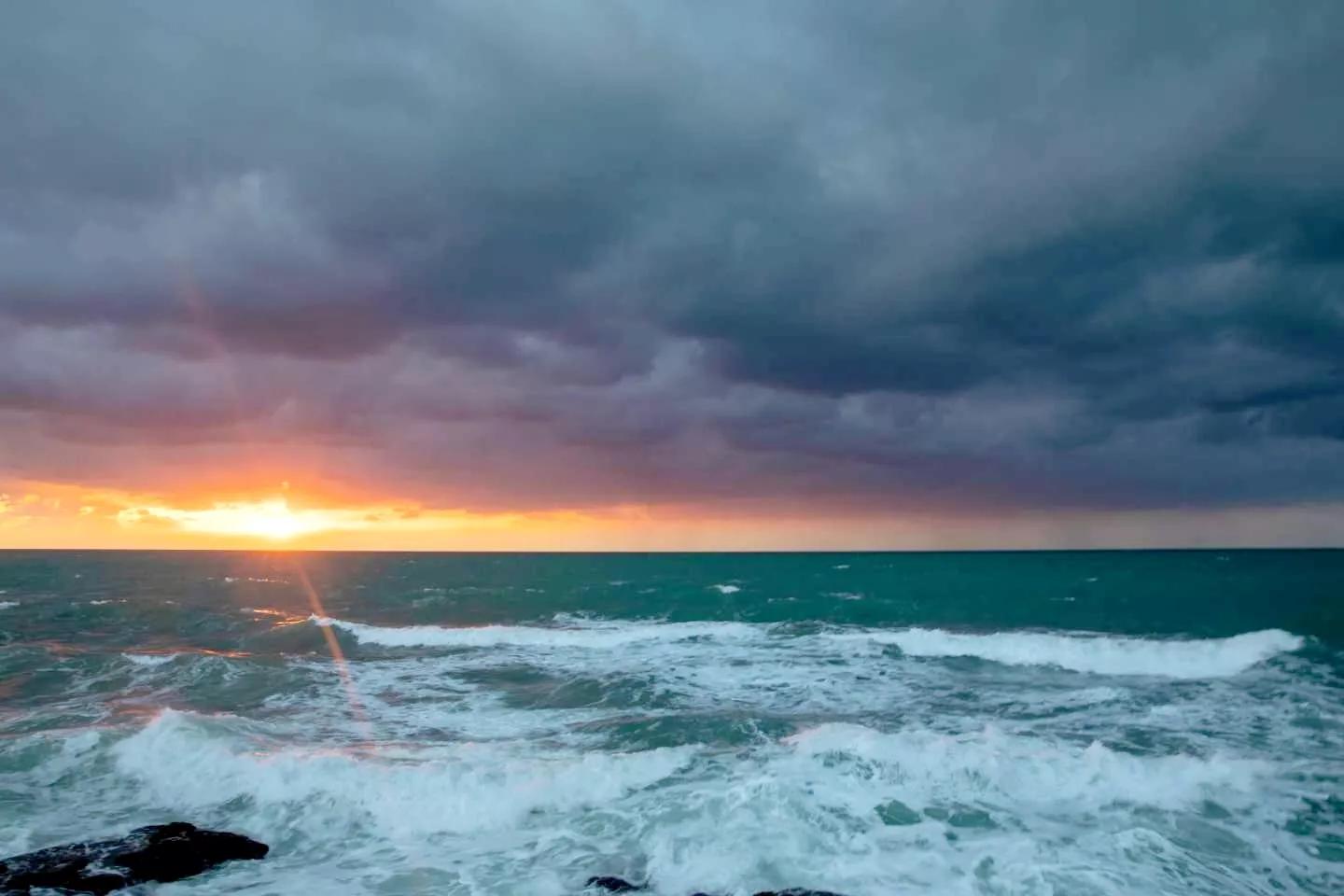 病毒肆虐全球,病毒肆虐全球高清