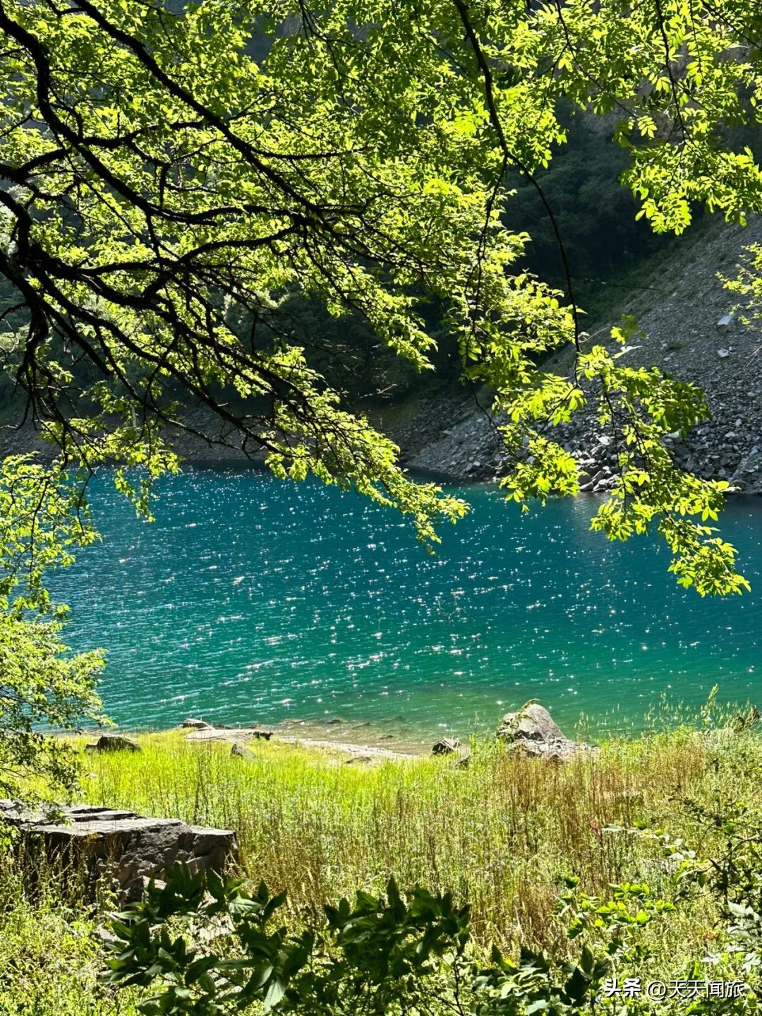 九寨归来不看水四川行,九寨归来不看水峨眉归来不看山