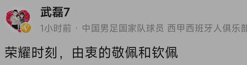 女足夺冠有多少人去做啦啦队,女足夺冠一群人庆祝