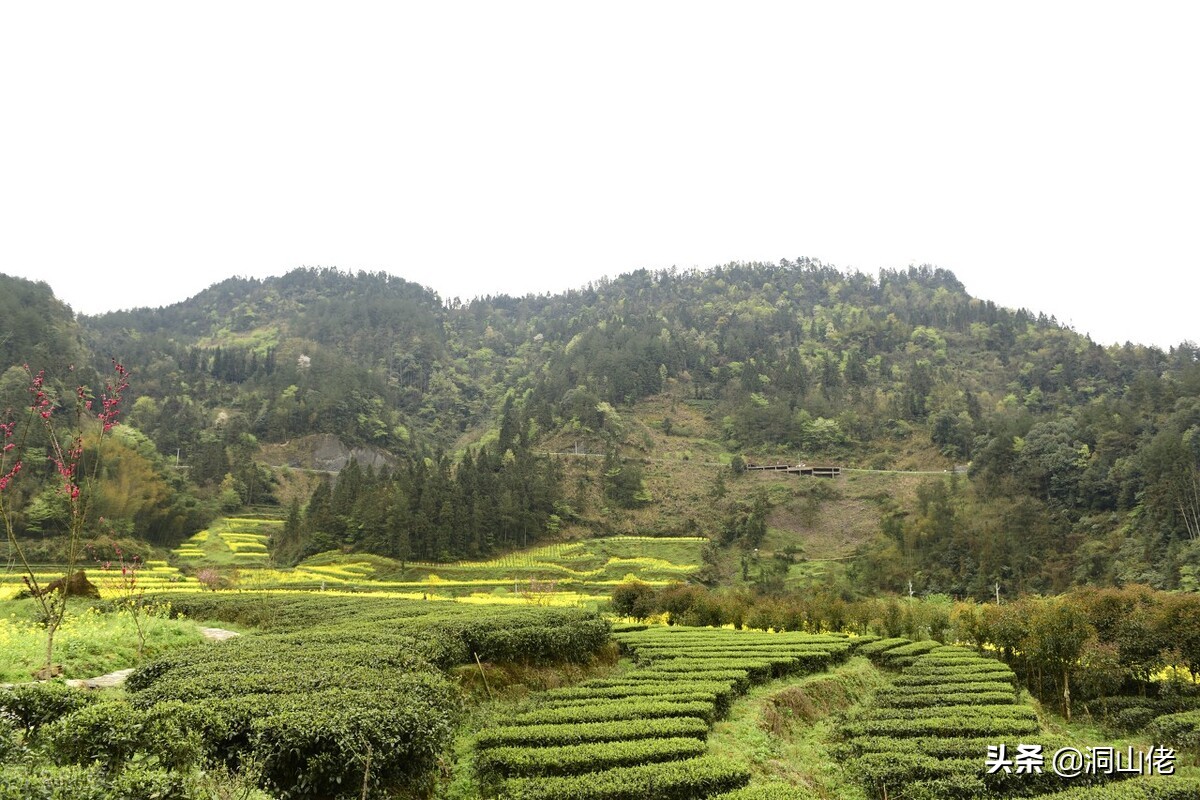 农村有句老话叫人穷别走亲,农村俗语人穷少说话位低别劝人