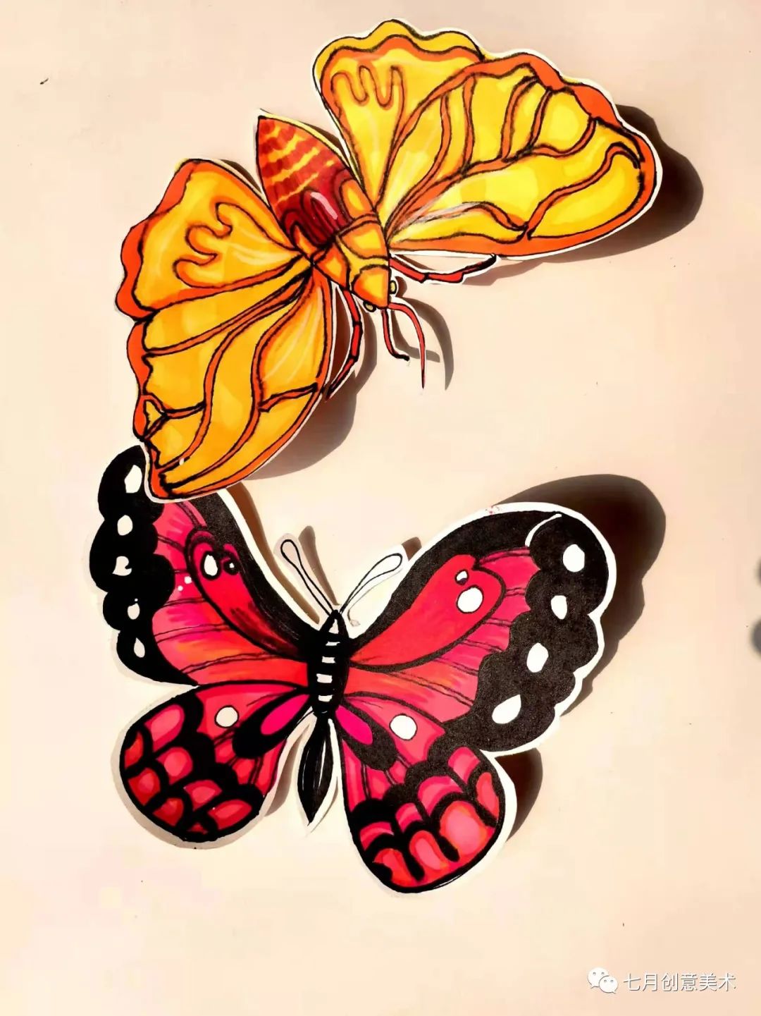 蝴蝶标本图片大全,塑封蝴蝶标本方法