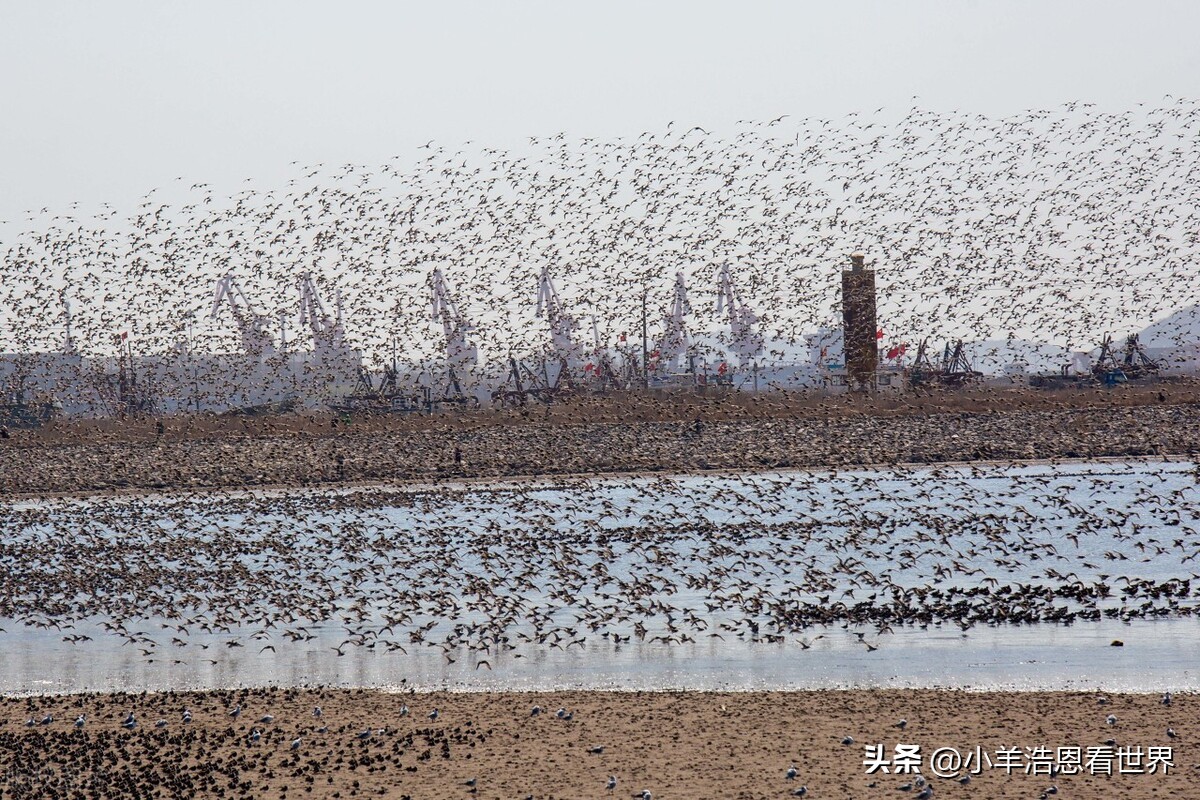 辽宁最值得去的十个景点,辽宁必去十大景点有哪些