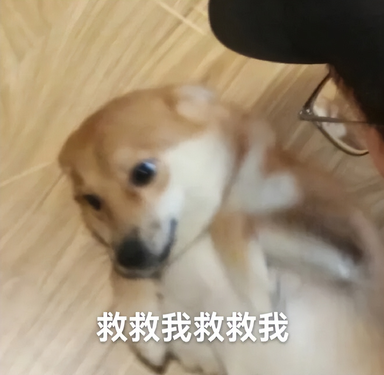 长息肉是癌症的前兆吗,体检查出有很小的息肉怎么办