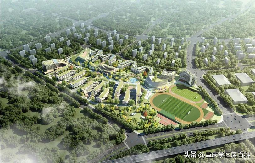 南开中学2020高考各分数段人数,南开中学2019年高考