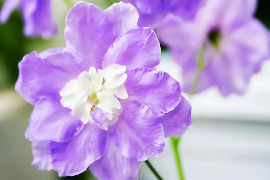 儿子结婚我一分钱没有给,婚后全款买了套房给她儿子