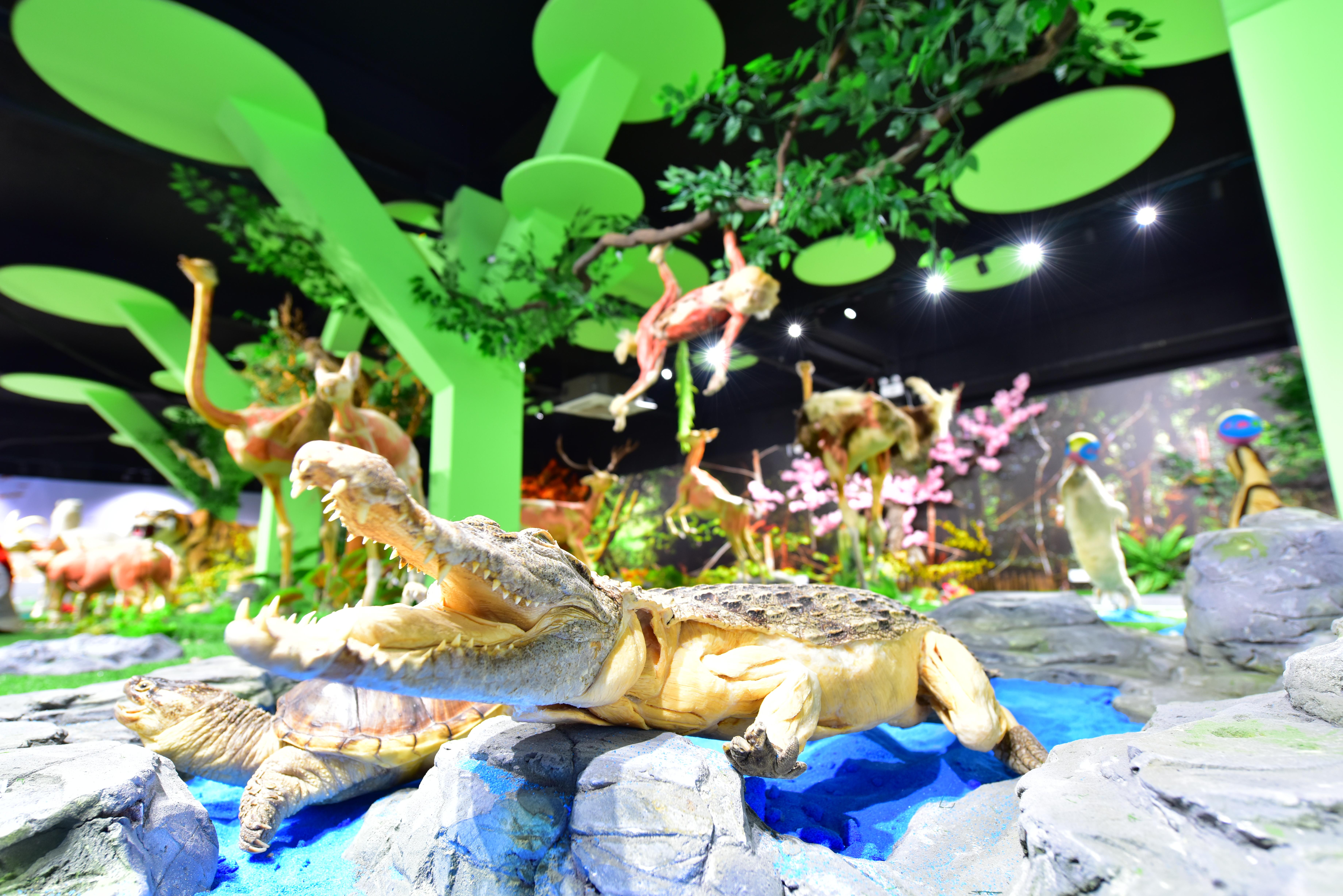 郑州九区遛娃游玩排行榜前十名,郑州遛娃打卡地点推荐