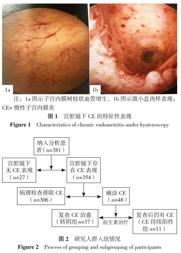抗生素治疗子宫内膜炎,抗生素可以根治子宫内膜炎吗