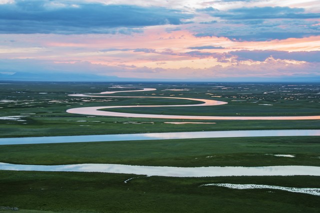 看胡杨林最佳旅行攻略,西北之冠胡杨林之旅