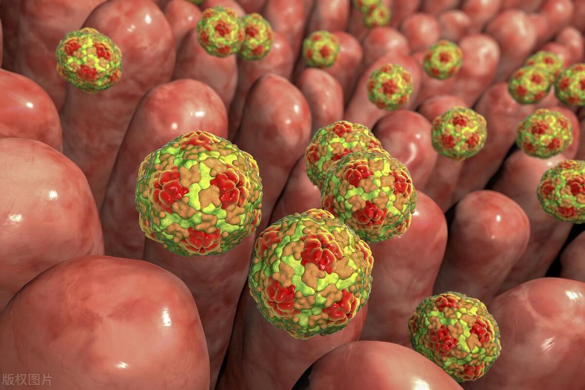 肝脏出现哪种问题屁会多,肝脏出现臭味还能好吗