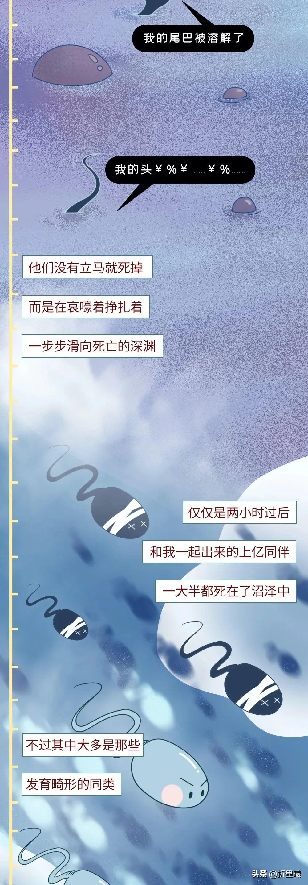 精子进入女生体内的24小时全过程曝光！