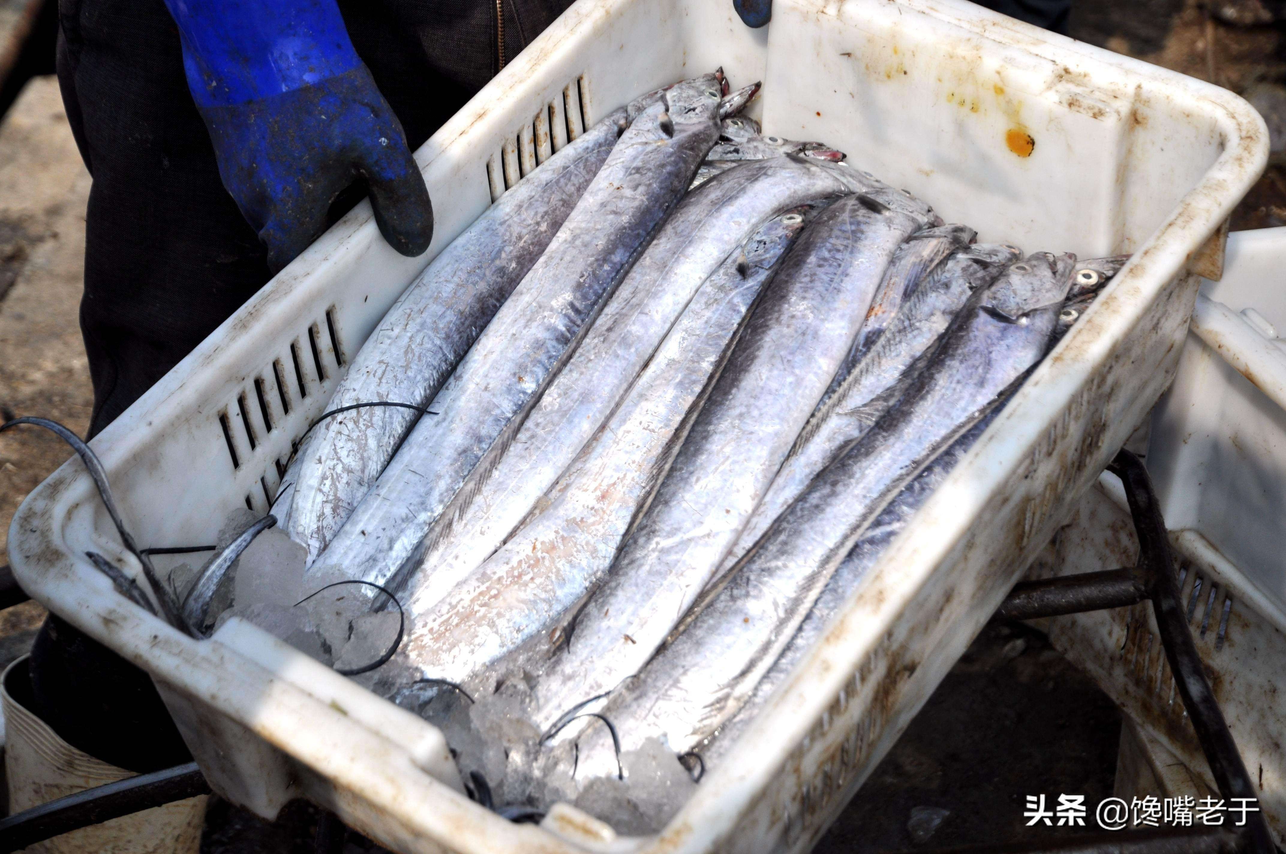 买带鱼注意这几个地方,买带鱼眼珠黑好还是白好