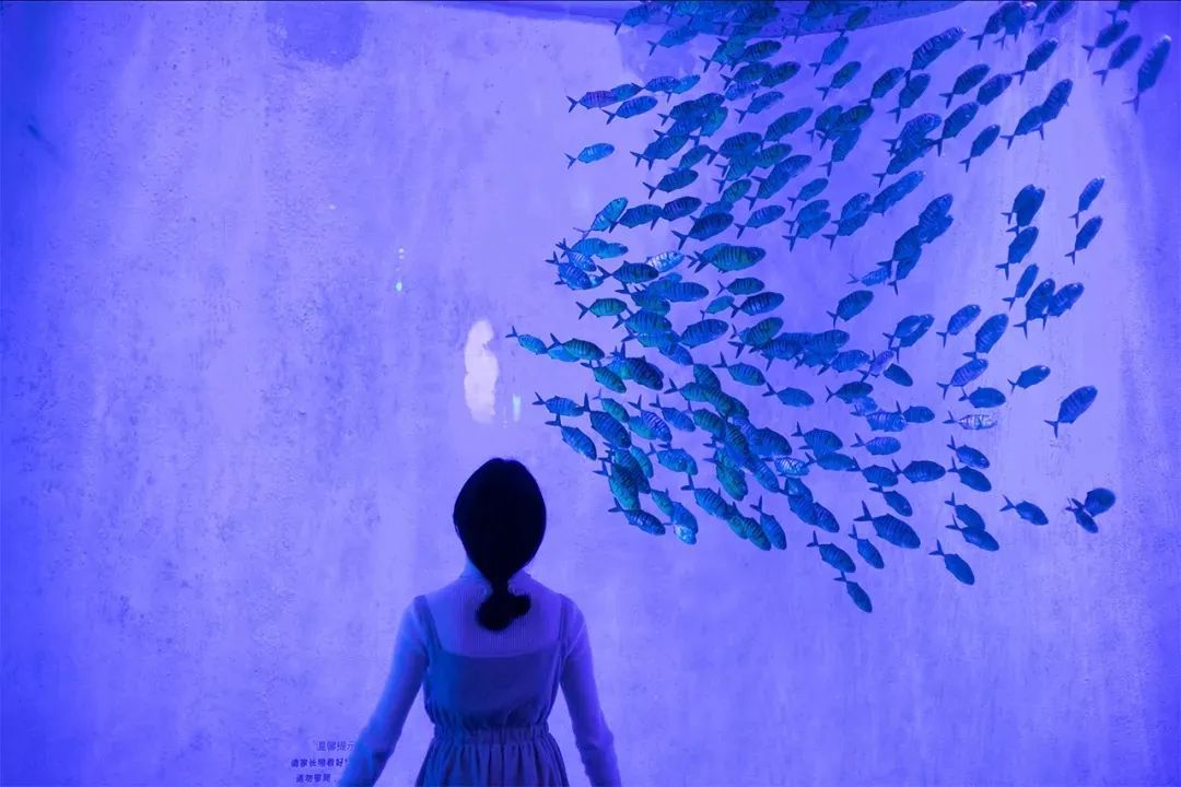 深圳小众好玩的景点排名榜,深圳小众海边旅游