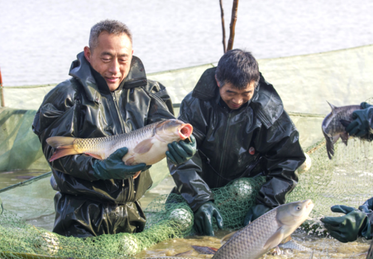 漯河驿城区乡村振兴项目,农村产业融合发展示范园漯河