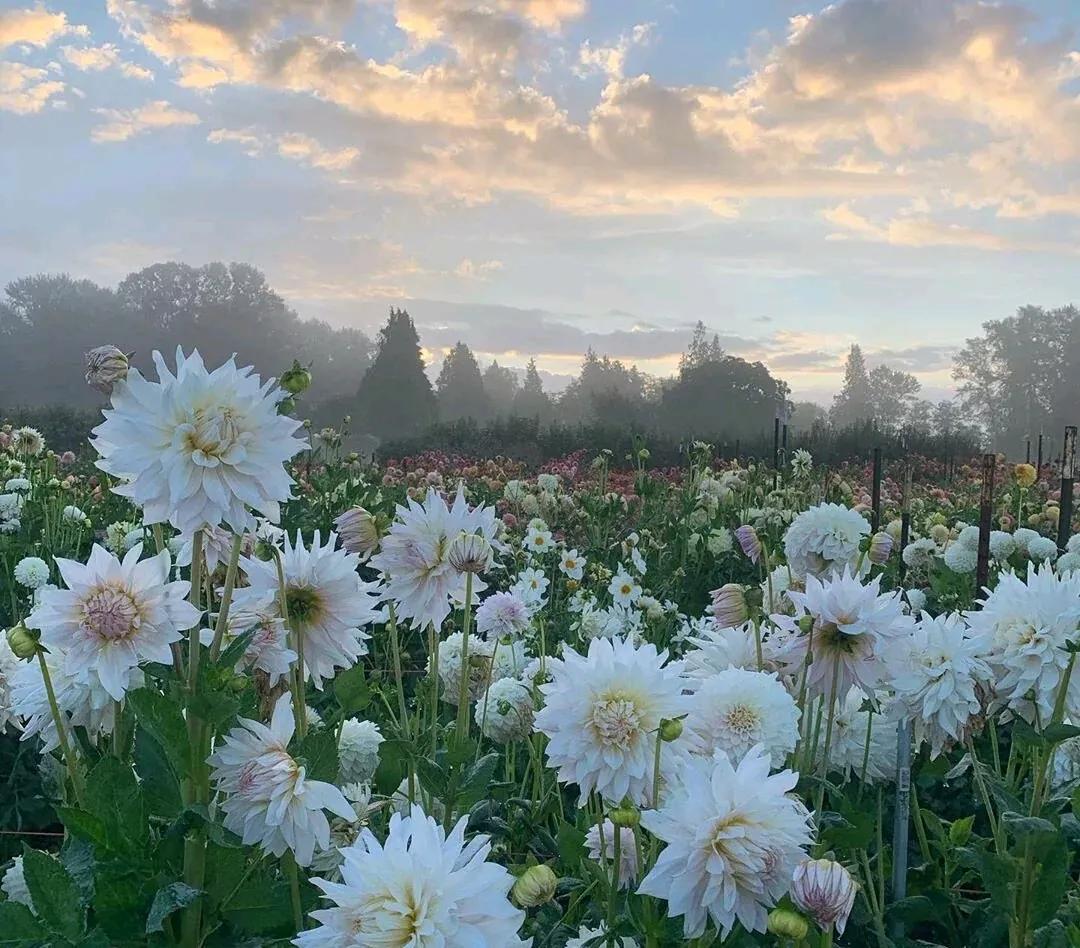 在大学感到孤单怎么办,大学孤独是常态吗
